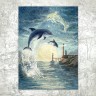 Открытка «Созвездие Дельфин»