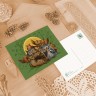 “Owls” Postcard Set