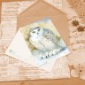 “Snow Owl” Postcard