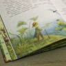 Книга «Как я родился? Сказки капустной феи»  Наталия Немцова 
