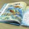 Книга «Тайны океана. Сказки для почемучки» Наталия Немцова 